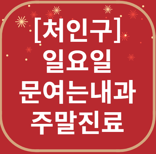 용인 처인구 일요일 문 여는 내과 목록 ❘ 토요일 주말 공휴일 병원 바로 찾기