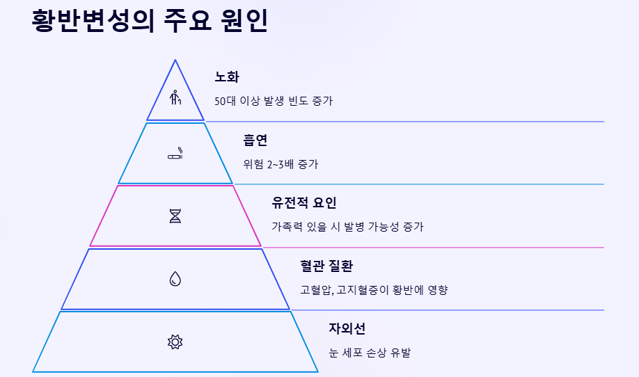 황반변성 증상 자가진단 원인 치료법 좋은음식 예방법