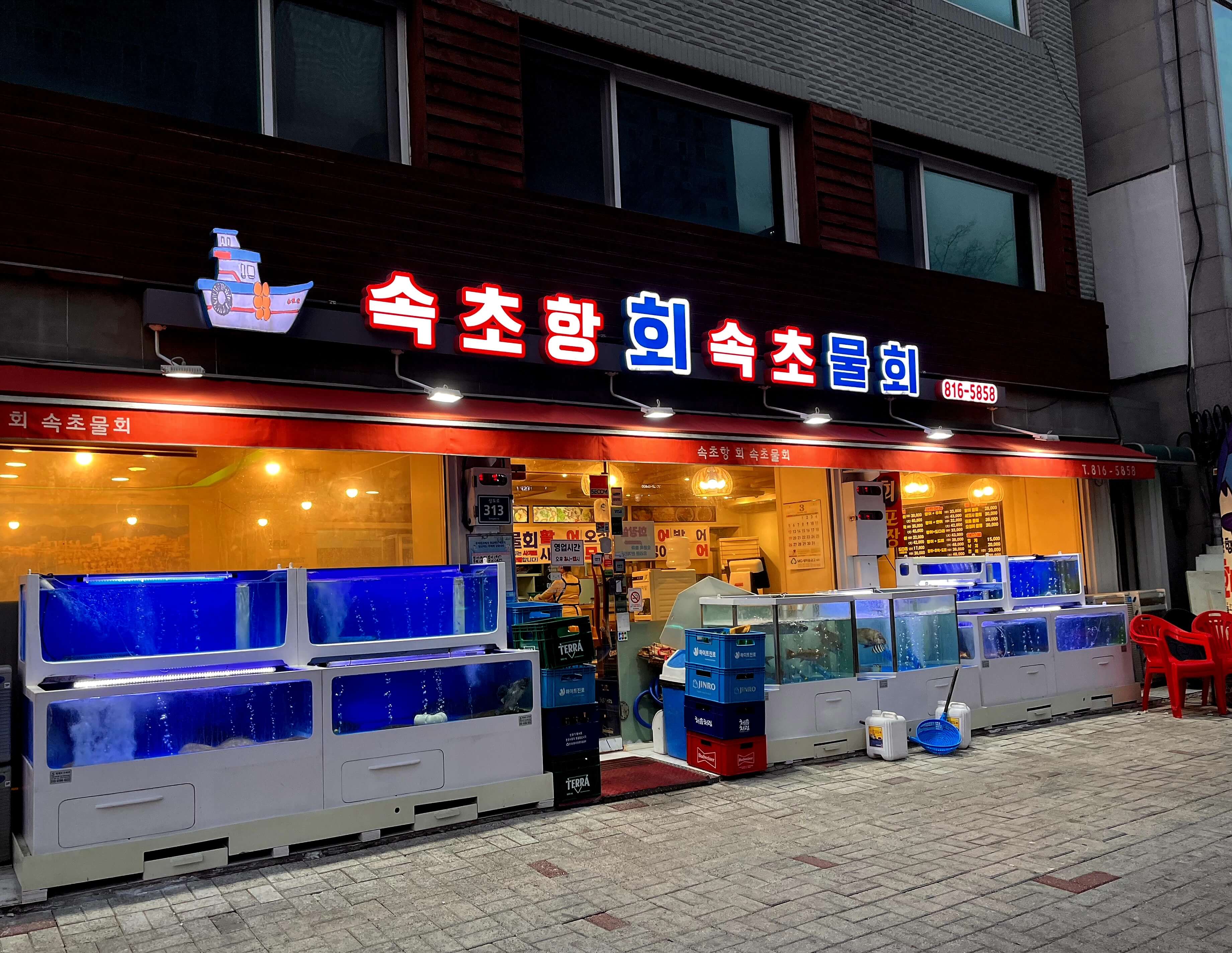 속초항회속초물회