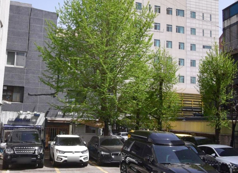 더 커피 컴퍼니 핑계고