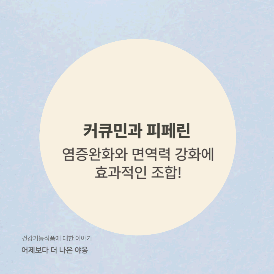 커큐민 + 피페린 조합! 항염 효과와 흡수율을 높이는 최적의 방법은?