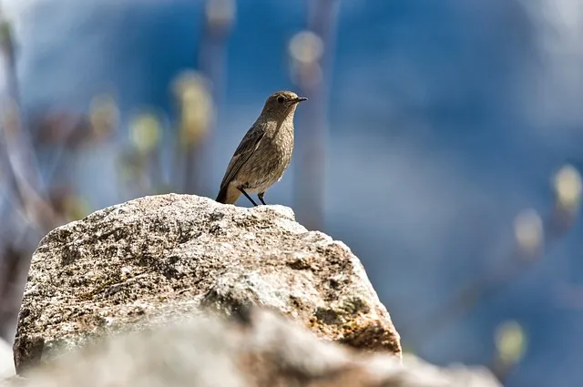 발리여행시 꼭 가봐야 할 곳 누사 페니다 Nusa Penida 섬_5