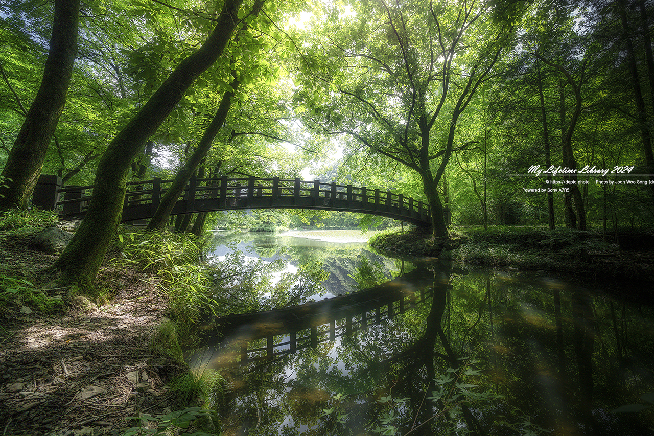장성 백양사 여름