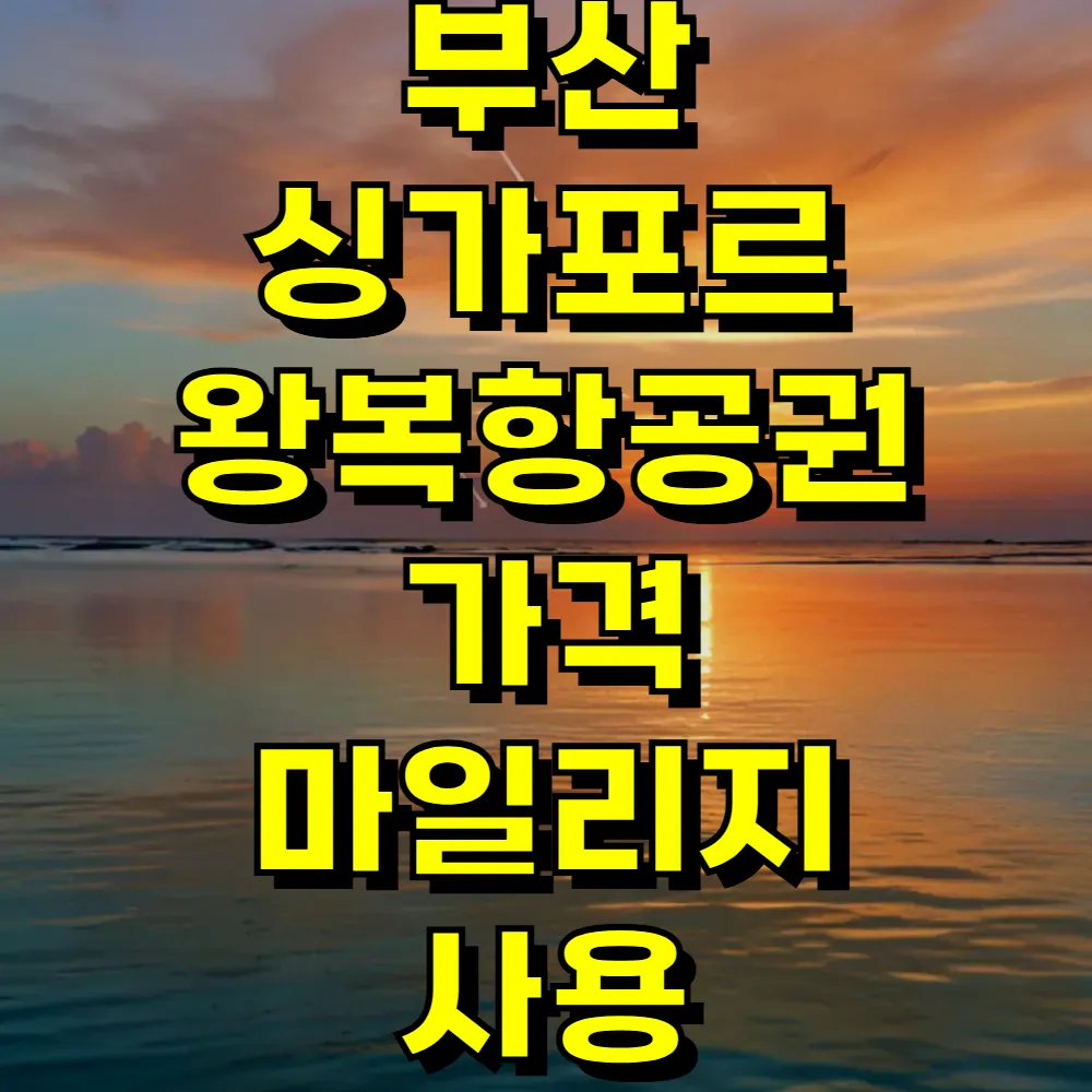 부산 싱가포르 왕복항공권 가격 마일리지 사용