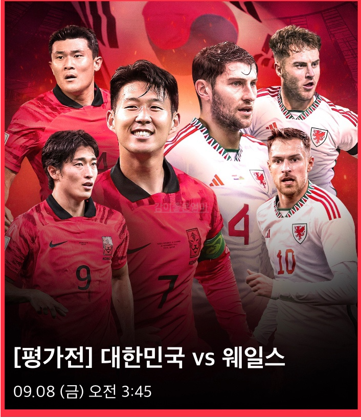 한국 웨일스