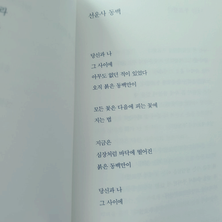 선운사 동백