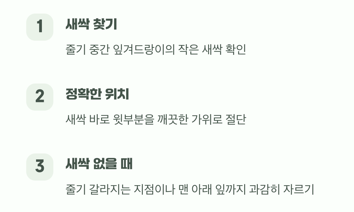 어디를 어떻게 잘라야 할까?