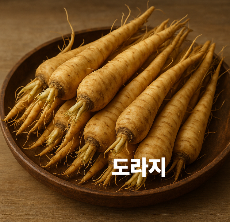 기침 가래완화 감염예방 독소배출 해독작용 도라지 효능 영양성분