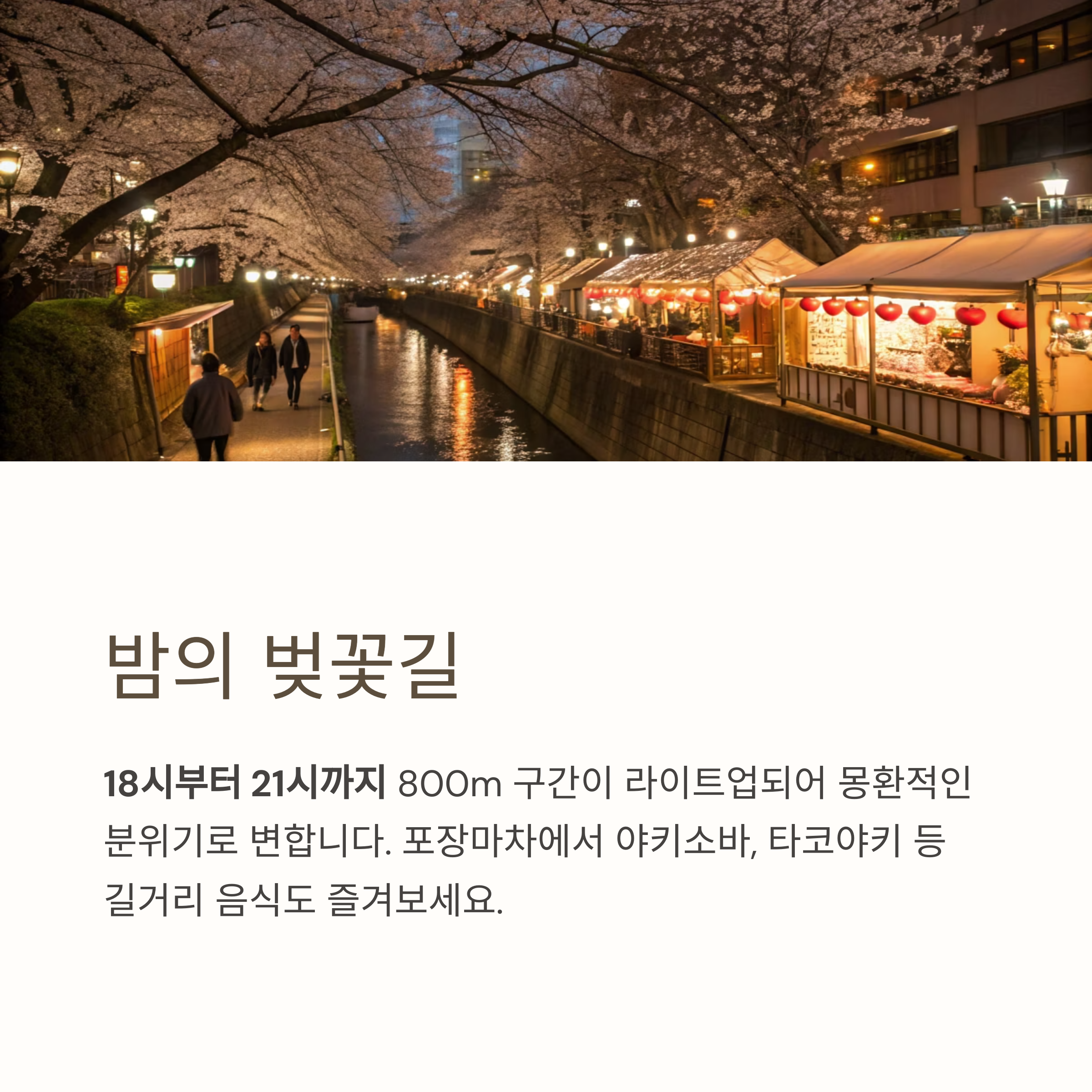 밤의 벚꽃길