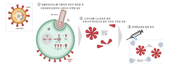 노바백스-효과
