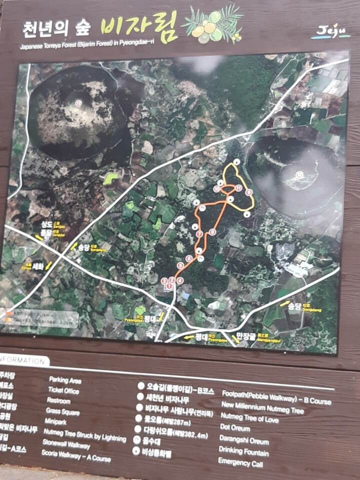 비자림 안내도