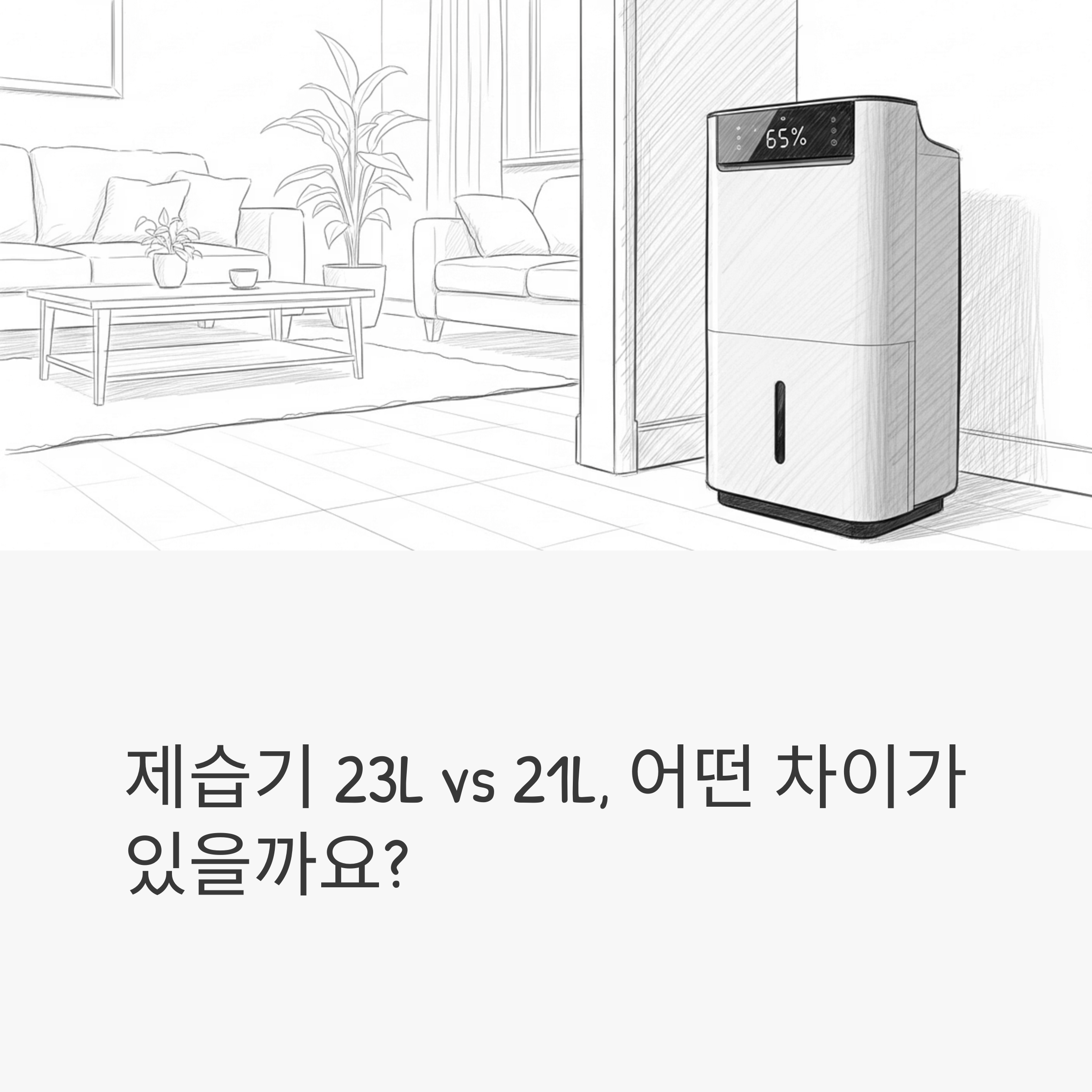 제습기 23L vs 21L, 어떤 차이가 있을까요?