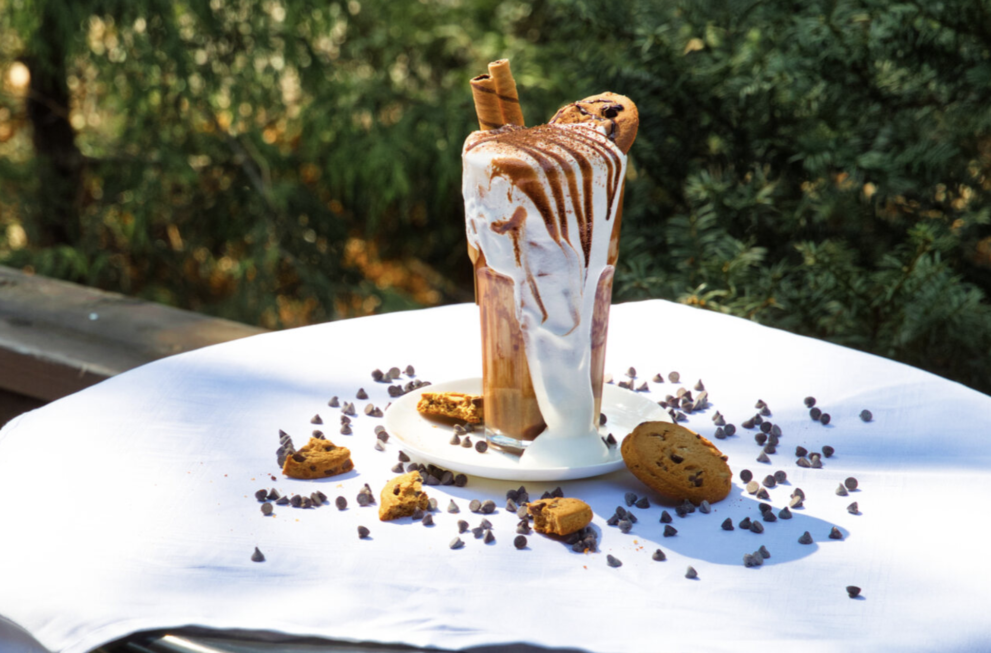 2025 봄꽃 페스타&amp;#44; 봄꽃 페스타 기존정보