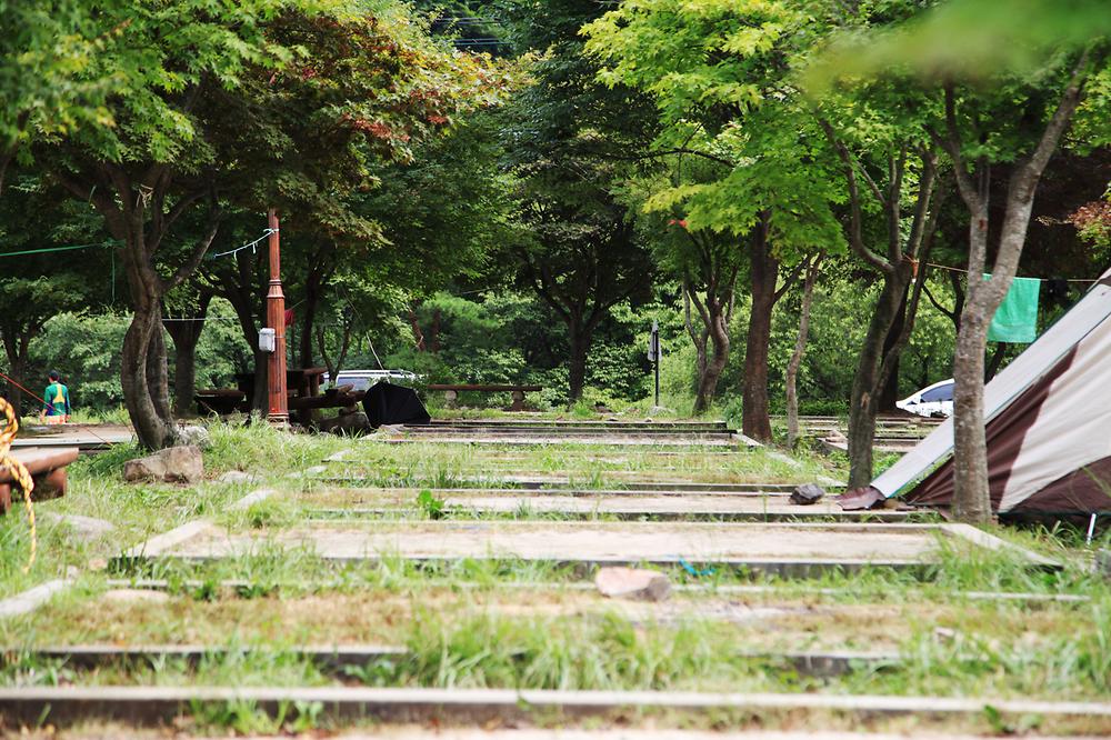 지리산 달궁자동차야영장

전북 남원시 산내면 덕동리 274