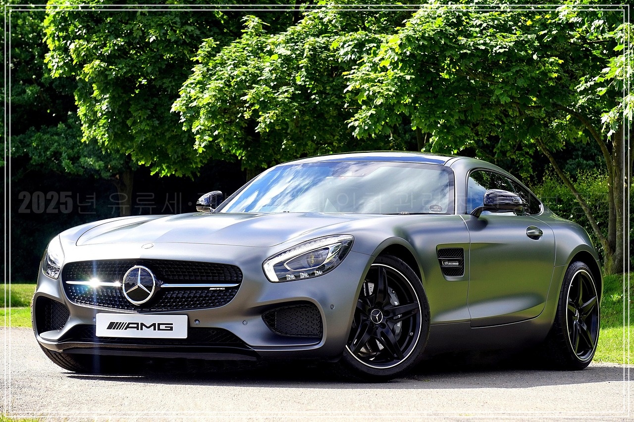 2025년 유류세·개별소비세 인하 관련 최신 정보 정리