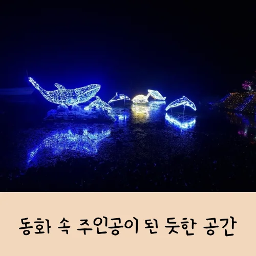 태안 빛축제 네이처월드