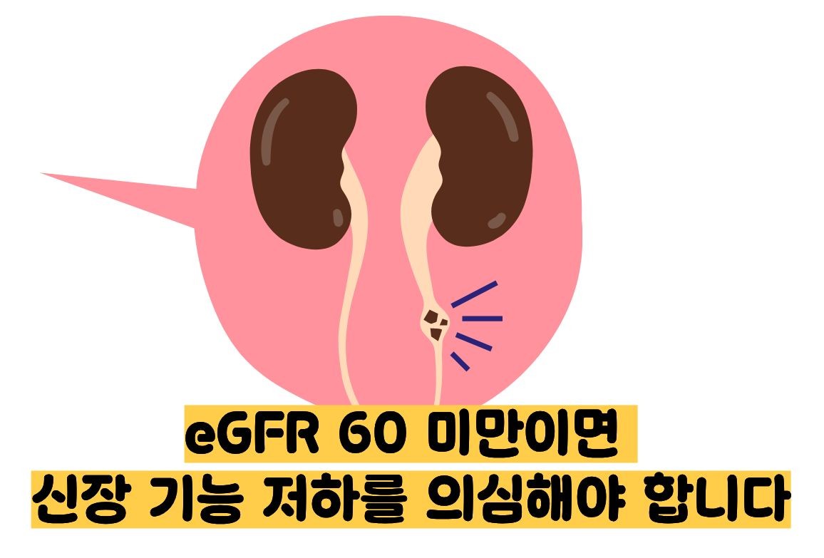 egfr 정상수치