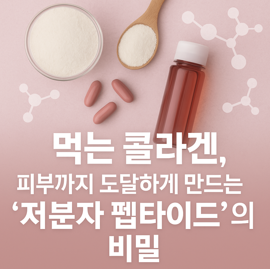 먹는 콜라겐, 피부까지 도달하게 만드는 '저분자 펩타이드'의 비밀