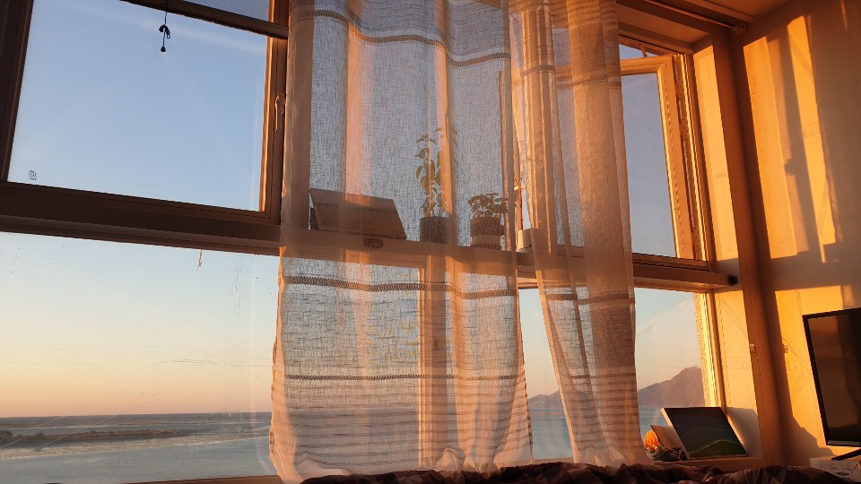 창가에서 키우는 바질