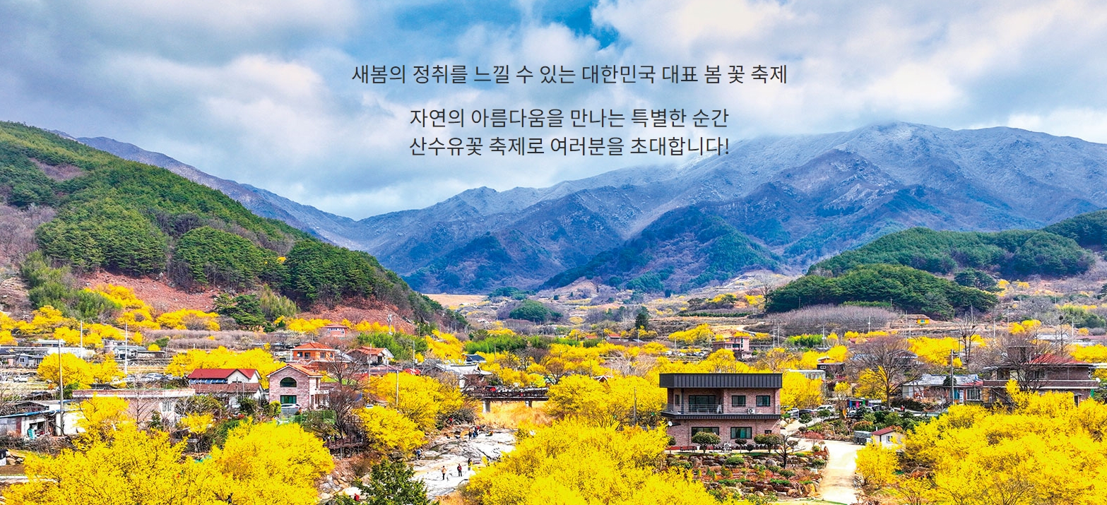 2025 벚꽃 개화시기 벗꽃개화시기 벚꽃개화지도 벗꽃개화지도 사진촬영꿀팁