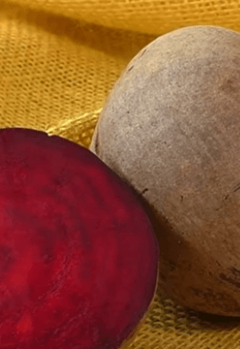 비트_하루_섭취량_먹는방법