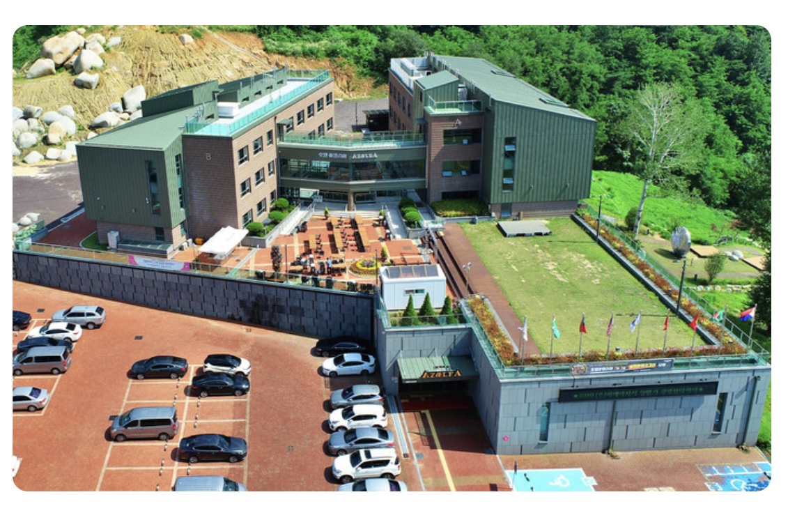 비슬산 진달래 축제