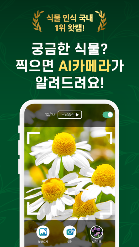 한국 꽃 이름 찾기, 꽃을 사진 찍으면 AI가 꽃의 이름 찾주는 앱