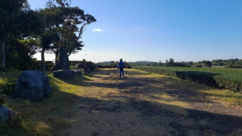제주여행_성읍녹차마을