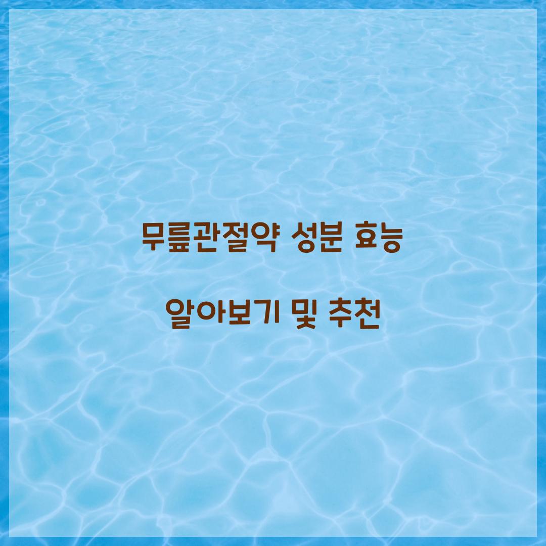 무릎관절약 성분 효능