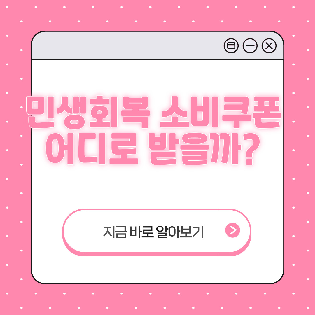 민생회복 소비쿠폰 카드