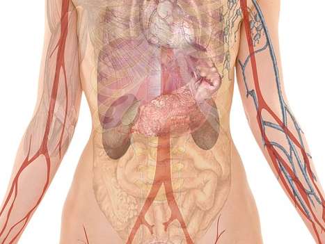 트리코모나스 증상
