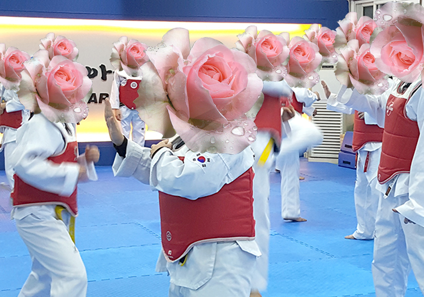 꽃보다 태권도: 장미