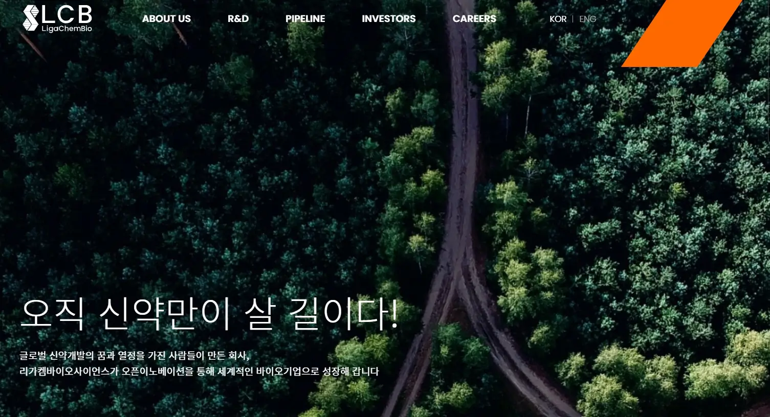 제약 바이오 관련주