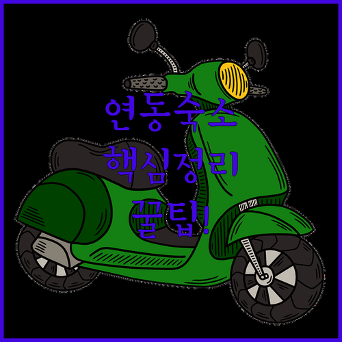 제주 연동 신제주 숙소 추천 TOP ..