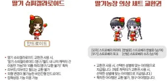 메이플 슈피겔라 황금 딸기농장 효율 극대화 실전 팁_21