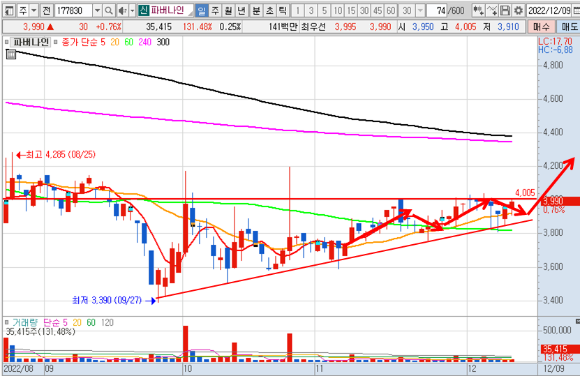 파버나인 12월 9일 일봉 차트