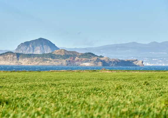5월제주도 가볼만한곳