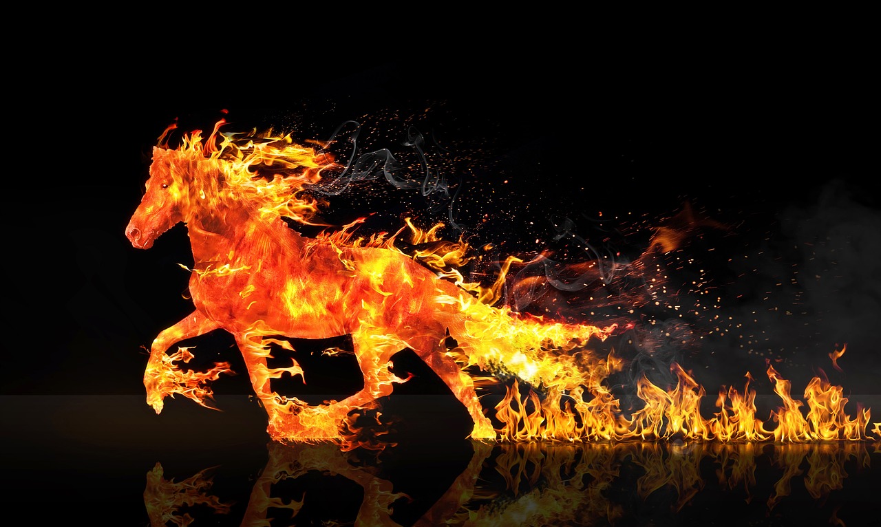 BURN 칼로리