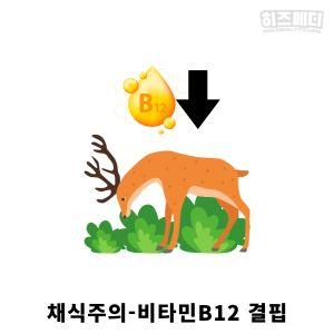 비타민 결핍 빈혈