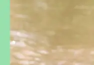 성주 모령머드축제