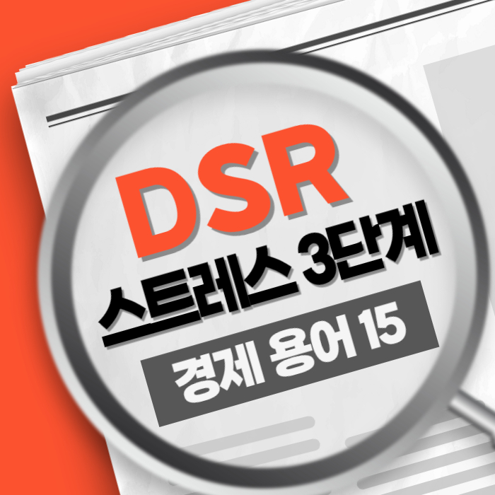 경제용어15) DSR 총부채원리금상환비율 스트레스 3단계 100%