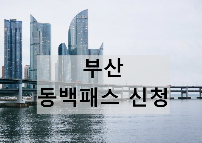 부산동백패스 신청법