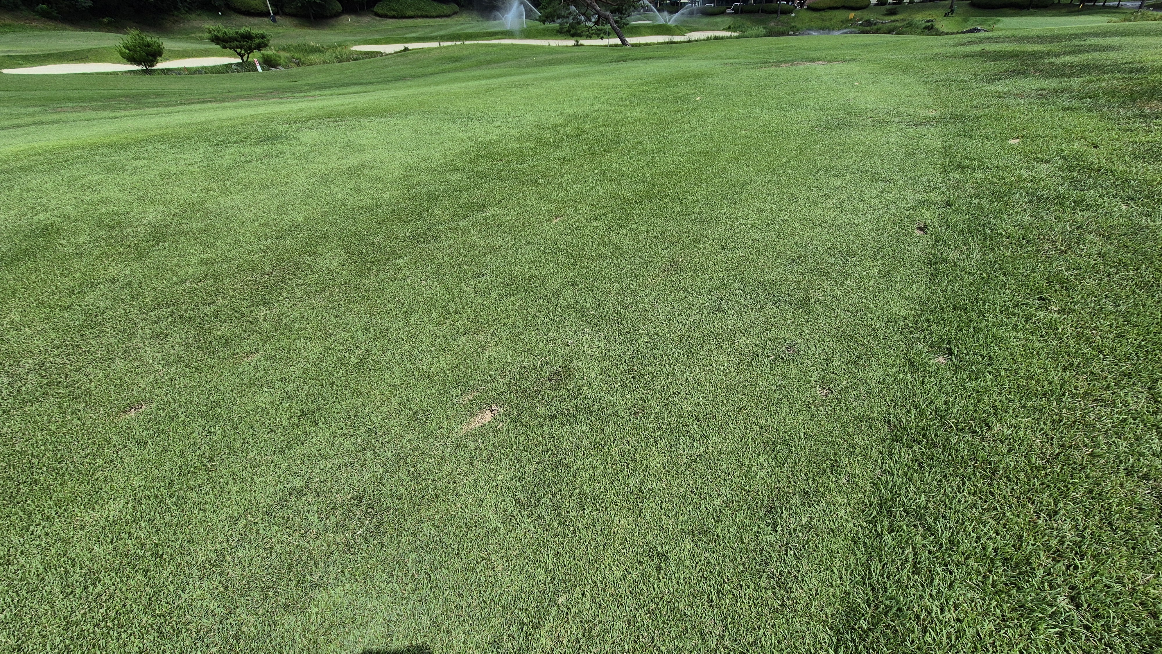 골프존카운티 천안 라운드 후기