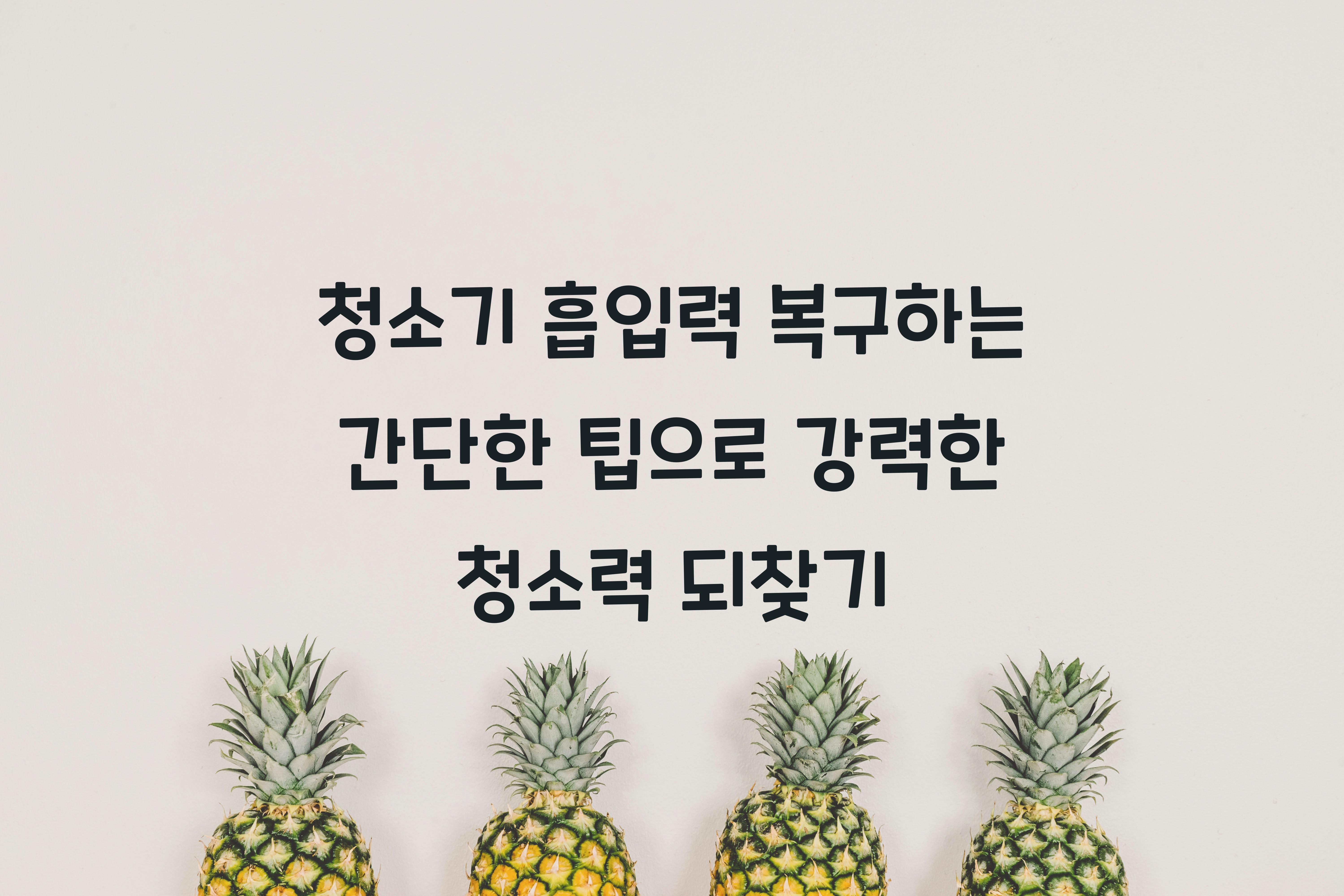 청소기 흡입력 복구하는 간단한 팁