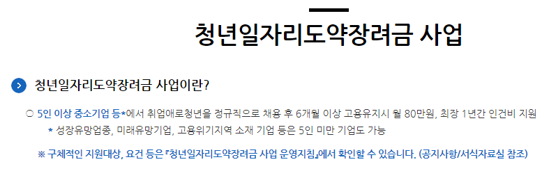 청년 일자리 도약 장려금 사업이란