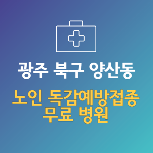 광주 북구 양산동 노인 독감예방접종 무료 병원 (인플루엔자 무료 접종 대상 날짜)