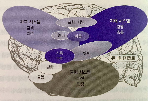 도표2_뇌의 빅3시스템(자극,지배,균형)과 배후 구조