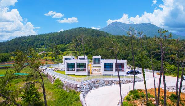 🏡 남해 독일마을 & 원예예술촌 – 조용하고 낭만적인 여행지 추천