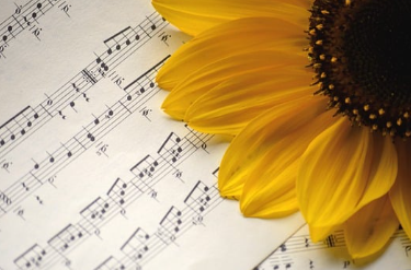 미스터트롯3-재방송