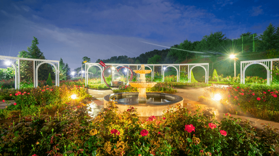 2025 오산 OH! 해피 장미빛 축제